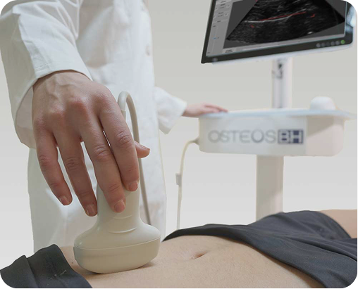 Densidad Mineral Ósea (DMO)